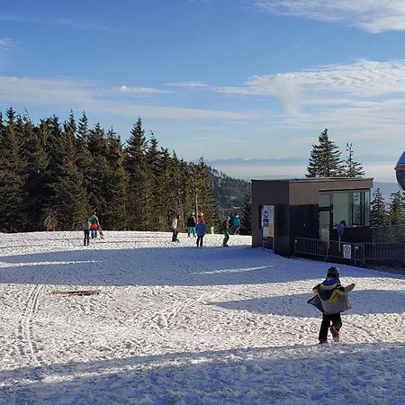 Bdapartmany Lipno nad Vltavou Exterior foto