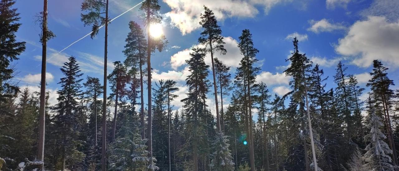 Bdapartmany Lipno nad Vltavou Exterior foto